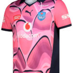 Mens Vodacom Bulls Training Jersey Pink
